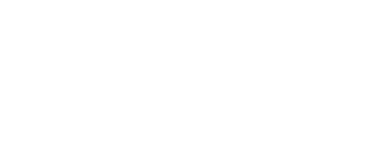 Paganella 2001 S.p.a. Logo